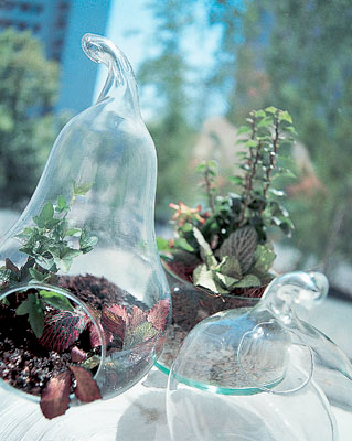 Интернет магазин продажа цветов