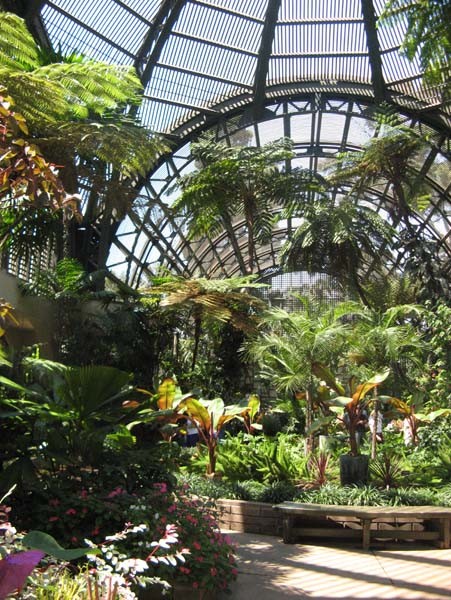 Интернет магазин продажа цветов