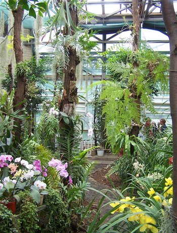 Интернет магазин продажа цветов